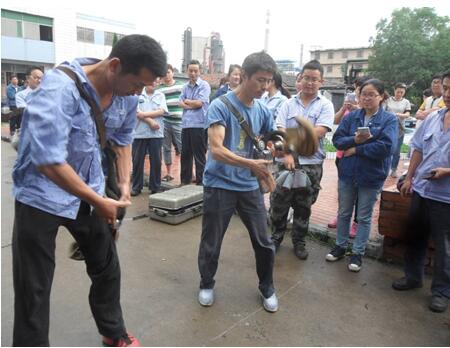 管家婆图库系列彩图